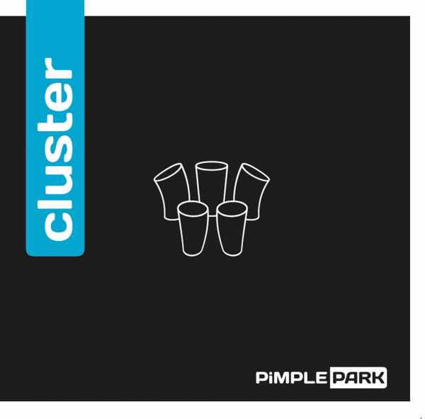 PiMPLEPARK Cluster